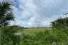 Land for sale in Don Faek, Nakhon Pathom