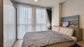 1 Bedroom Condo for rent in Bang Chak, Bangkok near BTS On Nut