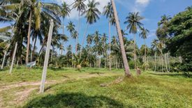 Land for sale in Na Mueang, Surat Thani