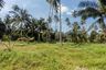Land for sale in Na Mueang, Surat Thani