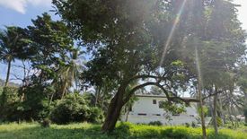 Land for sale in Na Mueang, Surat Thani