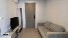 1 Bedroom Condo for rent in Quintara Treehaus Sukhumvit 42, Phra Khanong, Bangkok near BTS Ekkamai