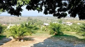 Land for sale in Khok Kloi, Phang Nga
