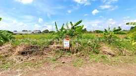 Land for sale in Na Mai, Pathum Thani