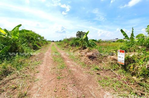 Land for sale in Na Mai, Pathum Thani
