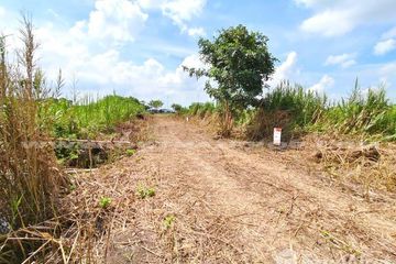Land for sale in Na Mai, Pathum Thani