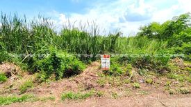 Land for sale in Na Mai, Pathum Thani