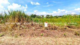 Land for sale in Na Mai, Pathum Thani