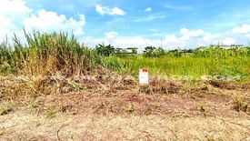 Land for sale in Na Mai, Pathum Thani