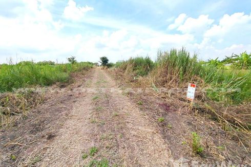 Land for sale in Na Mai, Pathum Thani
