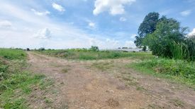 Land for sale in Na Mai, Pathum Thani