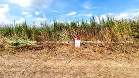 Land for sale in Na Mai, Pathum Thani