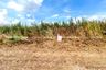Land for sale in Na Mai, Pathum Thani