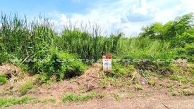 Land for sale in Na Mai, Pathum Thani