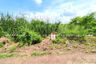 Land for sale in Na Mai, Pathum Thani