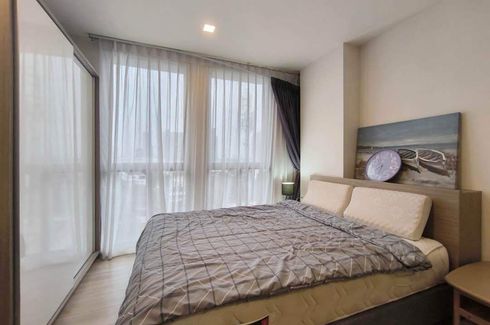 1 Bedroom Condo for rent in Bang Chak, Bangkok near BTS On Nut