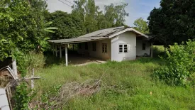 Land for sale in Ko Tan, Kamphaeng Phet