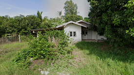 Land for sale in Ko Tan, Kamphaeng Phet