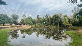 Land for sale in Rang Bua, Ratchaburi