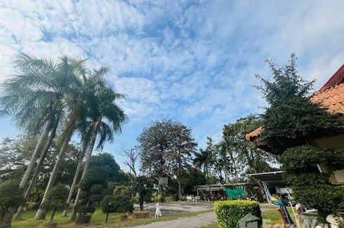 Land for sale in Rang Bua, Ratchaburi