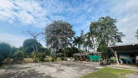 Land for sale in Rang Bua, Ratchaburi
