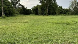Land for sale in Phang Khwang, Sakon Nakhon