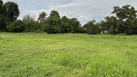 Land for sale in Phang Khwang, Sakon Nakhon
