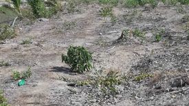 Land for sale in Ratsada, Phuket