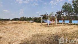 Land for sale in Makhuea Chae, Lamphun