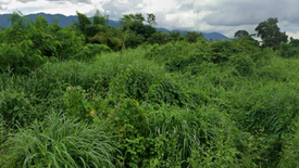 Land for sale in Makham, Chanthaburi