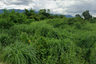 Land for sale in Makham, Chanthaburi