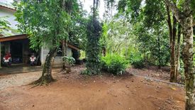 Land for sale in Pa Khlok, Phuket