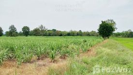 Land for sale in Noen Kham, Chainat