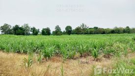 Land for sale in Noen Kham, Chainat