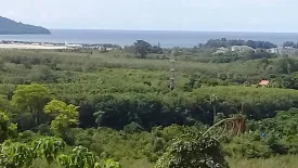 Land for sale in Mai Khao, Phuket