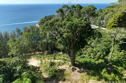 Land for sale in Kamala, Phuket