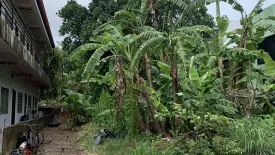 Land for sale in Baan Suan Loch Palm, Kathu, Phuket