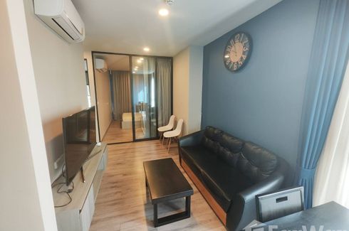 1 Bedroom Condo for rent in KnightsBridge Collage Sukhumvit 107, Bang Na, Bangkok near BTS Bearing