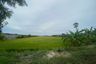 Land for sale in Lahan, Nonthaburi
