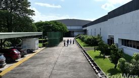 Commercial for sale in Nong Mai Kaen, Chachoengsao