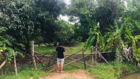 Land for sale in Nam Phrae, Chiang Mai
