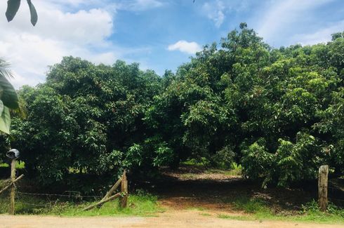 Land for sale in Nam Phrae, Chiang Mai