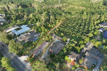 Land for sale in Nop Pring, Phang Nga