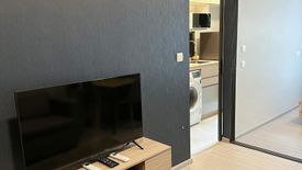 1 Bedroom Condo for rent in The Privacy S101, Bang Chak, Bangkok near BTS Punnawithi
