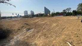 Land for sale in Nong Prue, Chonburi