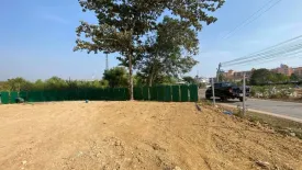 Land for sale in Nong Prue, Chonburi