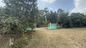 Land for sale in Mae Na Toeng, Mae Hong Son