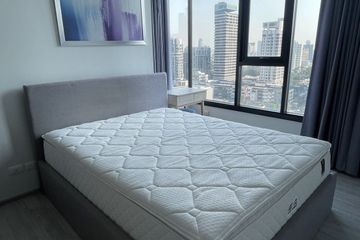 1 Bedroom Condo for rent in XT Ekkamai, Khlong Tan Nuea, Bangkok