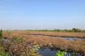 Land for sale in Maha Chai, Samut Sakhon
