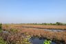 Land for sale in Maha Chai, Samut Sakhon